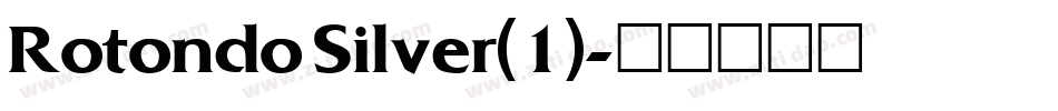 Rotondo Silver(1)字体转换